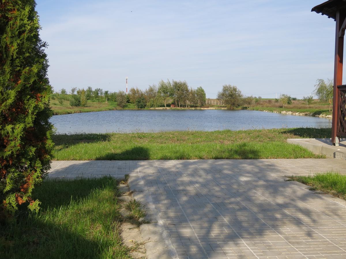 Conacul De Pe Lac Sagu Exterior photo